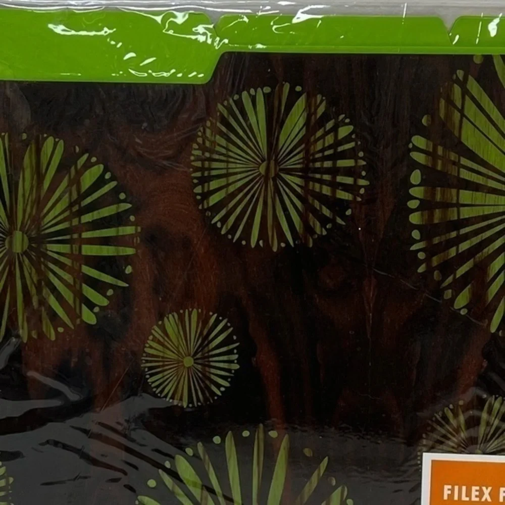 Int’l Arrivals Filex 